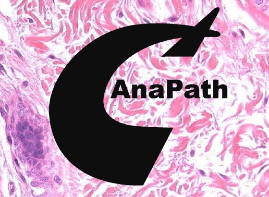 Anapath