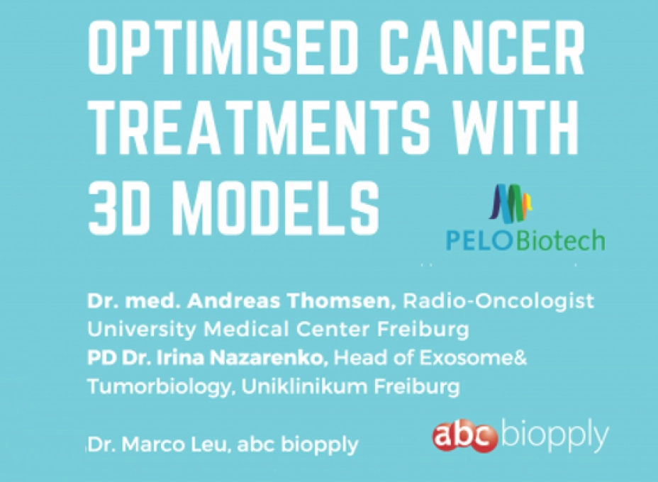 Optimised Cancer Treatments with 3D Models